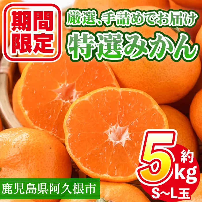 ＜先行予約受付中！2024年10月以降順次発送予定＞数量限定！鹿児島県産特選みかん(計約5kg)国産 柑橘 果物 くだもの フルーツ 蜜柑 ミカン【三笠農業生産】a-16-8