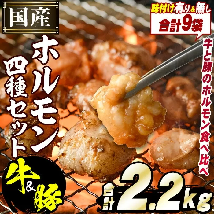 スターゼン特選！国産！牛×豚ホルモン食べ比べ4種セット(合計2.2kg)  阿久根市 国産 特産品 小腸 味付 パック 詰め合わせ 詰合せ 炒め物 鍋 モツ おかず お弁当 小分け 個包装 焼肉【スターゼン】a-12-46