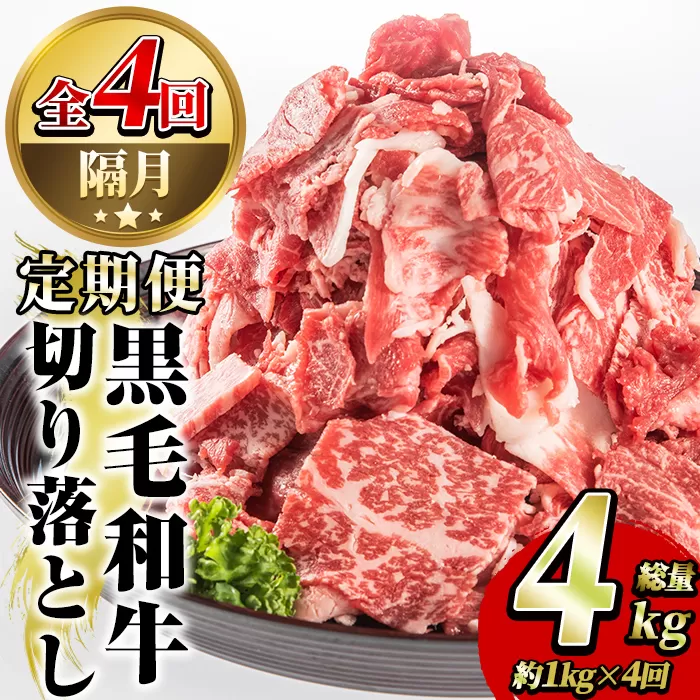 ＜定期便・全4回(隔月)＞鹿児島県産！黒毛和牛切り落とし定期便(総量4kg)国産 九州産 鹿児島産 牛肉 国産牛 切り落とし 切落し 赤身 小分け 頒布会【スターゼン】a-72-4