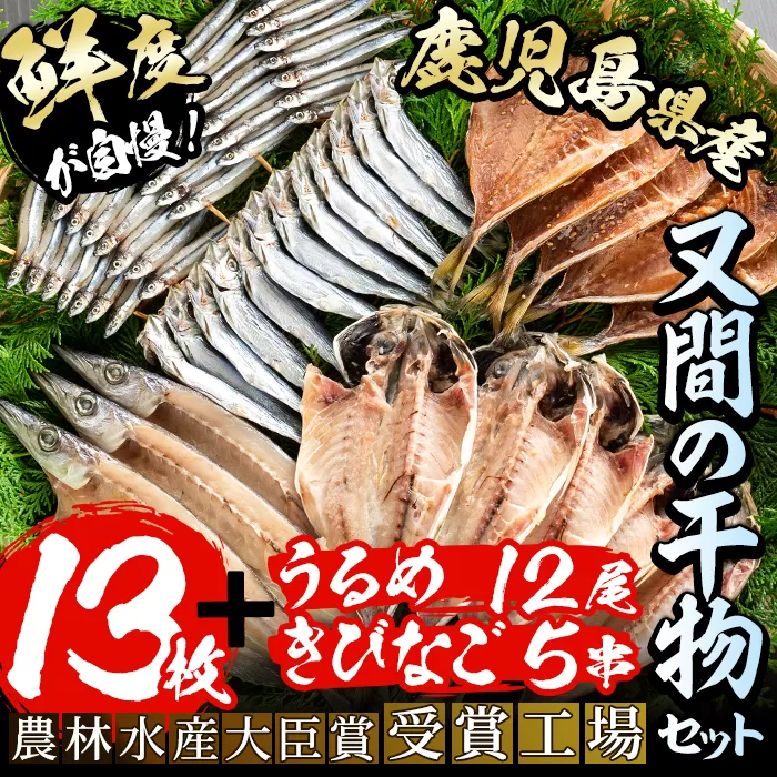 鹿児島県産！干物詰め合わせ(5種)国産 九州産 魚介 ひもの 干物 乾物 鯵 あじ かますな きびなご ウルメ セット 詰合せ【又間水産】a-12-9