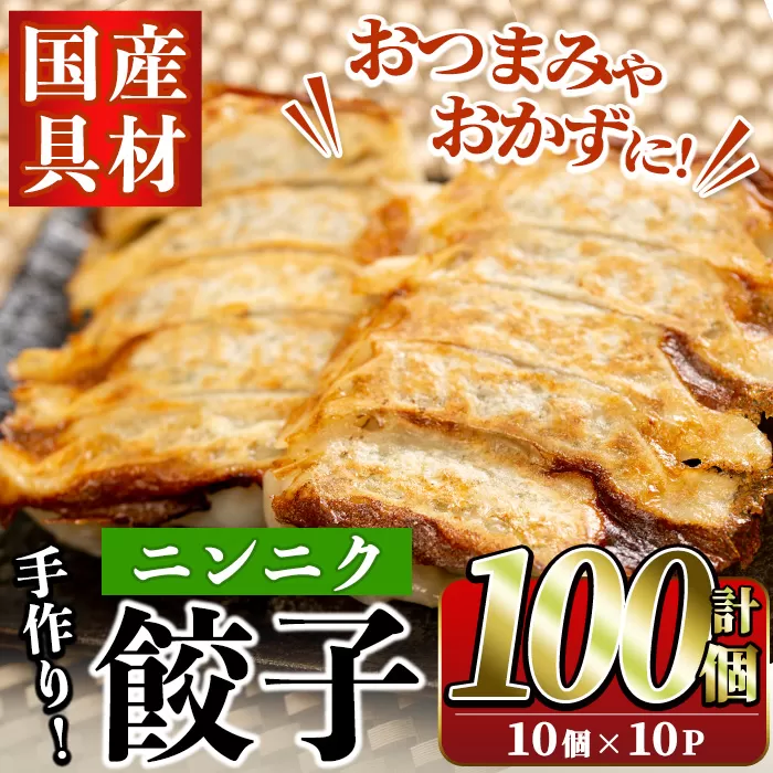 国産豚肉使用！手作りニンニク餃子(計100個・10個×10パック)国産 ギョウザ ぎょうざ お肉 にんにく おかず 惣菜 おつまみ【スーパーよしだ】a-12-113