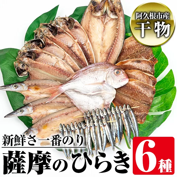 鹿児島県阿久根市産干物！新鮮さ一番のり薩摩のひらきセット(6種) 国産 九州産 魚介類 ひもの 乾物 アジ 鯵 タイ 鯛 サバ 鯖 きびなご かます 味付 おかず お弁当 詰合せ 詰め合わせ【川本商店】a-14-26