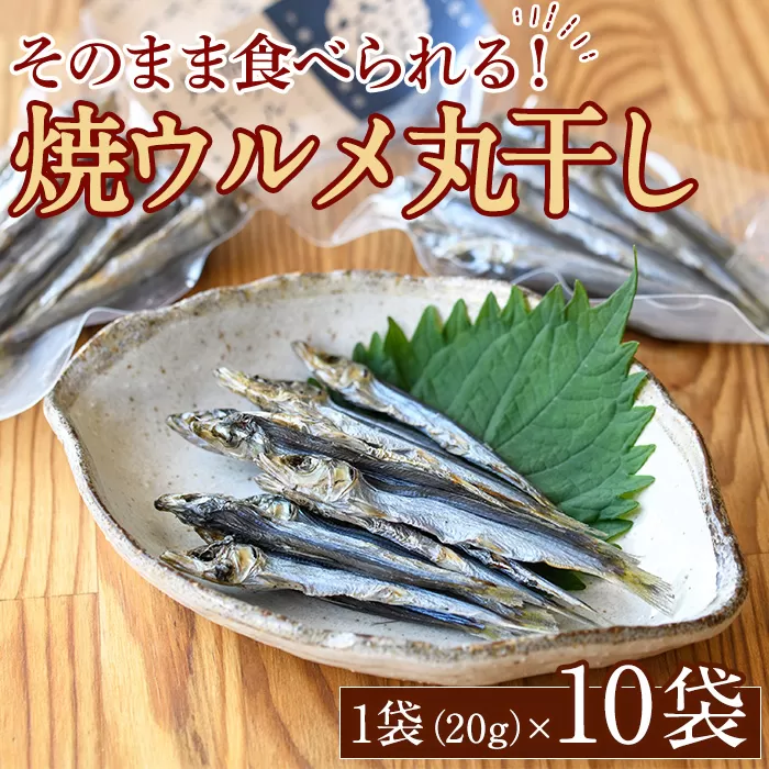 焼ウルメ丸干し10袋セット(20g×10袋)海産物 いわし 鰯 ウルメイワシ おつまみ おかず【下園薩男商店】a-16-38-z