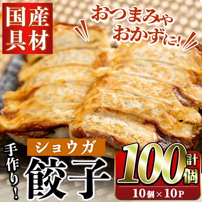 国産豚肉使用！手作りショウガ餃子(計100個・10個×10パック、たれ付き) 餃子 ぎょうざ ギョウザ ギョーザ しょうが 生姜 豚肉 おかず お惣菜【スーパーよしだ】a-12-114