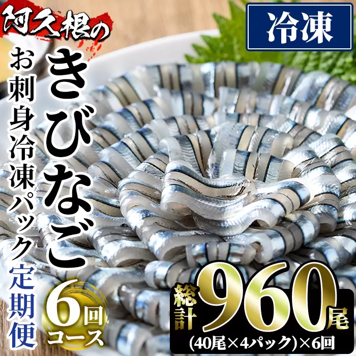 ＜定期便・全6回(冷凍便)＞鹿児島県産！阿久根のきびなごお刺身セット(計960尾・40尾×4P×6回) 冷凍 魚介類 海鮮 魚 きびなご キビナゴ 刺身 さしみ 刺し身 青魚 子魚 小分け【椎木水産】a-68-1-z