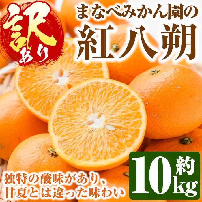 ＜先行予約受付中！2025年2月上旬以降発送予定＞＜訳あり・不揃い＞まなべみかん園の紅八朔(約10kg)国産 柑橘類 みかん 蜜柑 果物【有限会社まなべみかん園】a-12-237