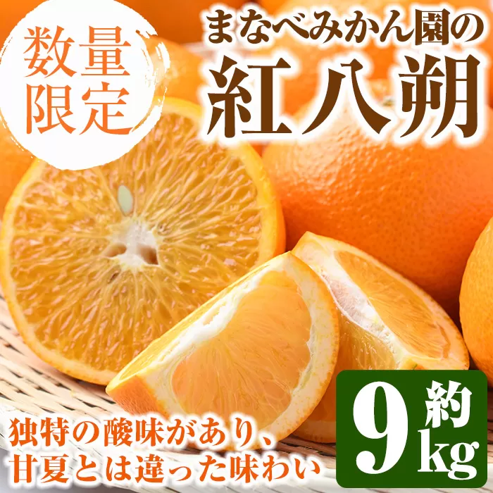 ＜先行予約受付中！2025年2月上旬以降発送予定＞まなべみかん園の紅八朔(約9kg)国産 柑橘類 みかん ミカン 蜜柑 果物 フルーツ【有限会社まなべみかん園】a-14-11-z