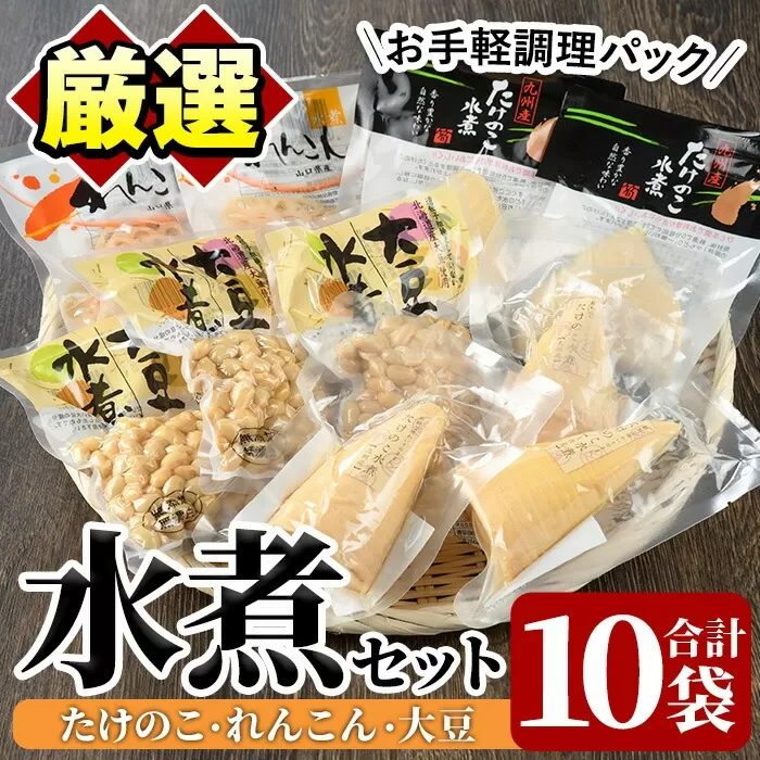 たけのこ・れんこん・大豆の水煮(合計10袋)国産 九州産 筍 水煮 蓮根 野菜 使い切り 小分け 個包装【上野食品】a-12-200