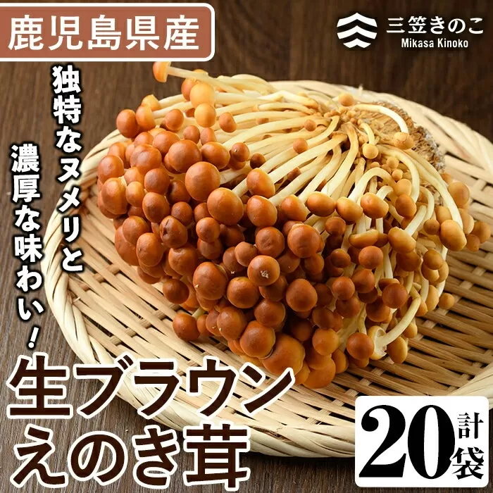 生ブラウンえのき茸(20袋・計3.6kg)国産 エノキ きのこ 茸 キノコ 個包装【三笠えのき茸生産組合】a-12-220