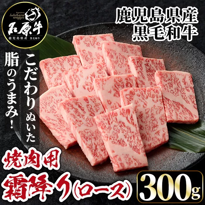 石原牛 霜降りロース 焼肉用(300g) 黒毛和牛 国産 九州産 鹿児島県産 ブランド牛 焼肉 BBQ 牛肉 和牛 霜降り ロース 冷凍 贅沢 贅沢な一品 贈答用 ギフト用【株式会社石原PRO】a-26-12