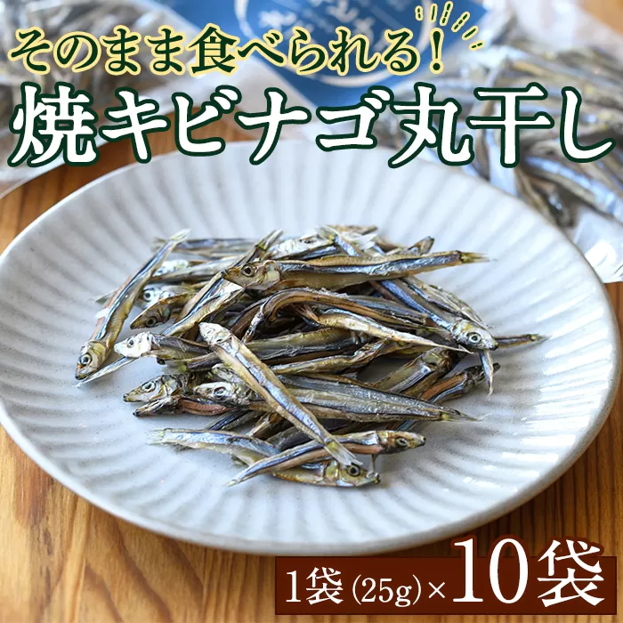 焼キビナゴ丸干し10袋セット(25g×10袋)海産物 きびなご おつまみ おかず【下園薩男商店】a-16-39-z