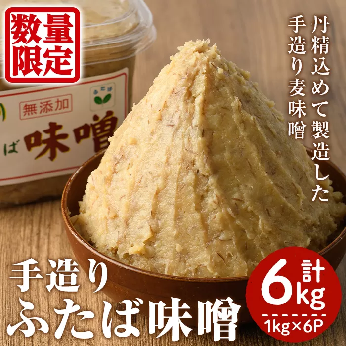 数量限定！手造りふたば麦味噌(計6kg・1kg×6P)国産 みそ 加工品 調味料 味噌汁【デイハウスふたば脇本】a-11-24