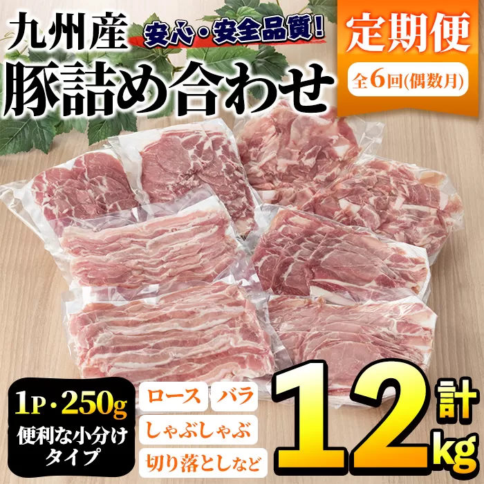 ＜定期便・全6回(偶数月)＞豚肉詰め合わせ(計12kg・1パック250g) 国産 九州産 小分け 個包装 真空パック 定期便 鍋 冷凍配送 ぶた肉 ポーク セット 詰め合わせ ロースしゃぶしゃぶ 肩ロース生姜焼き 豚バラスライス こま切れ【三九】a-84-1