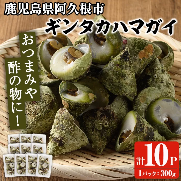 数量限定！ギンタカハマガイ(三角みな)ボイル(300g×10パック)国産 鹿児島県産 貝 魚介類 おかず 料理 おつまみ【福美丸水産】a-28-13