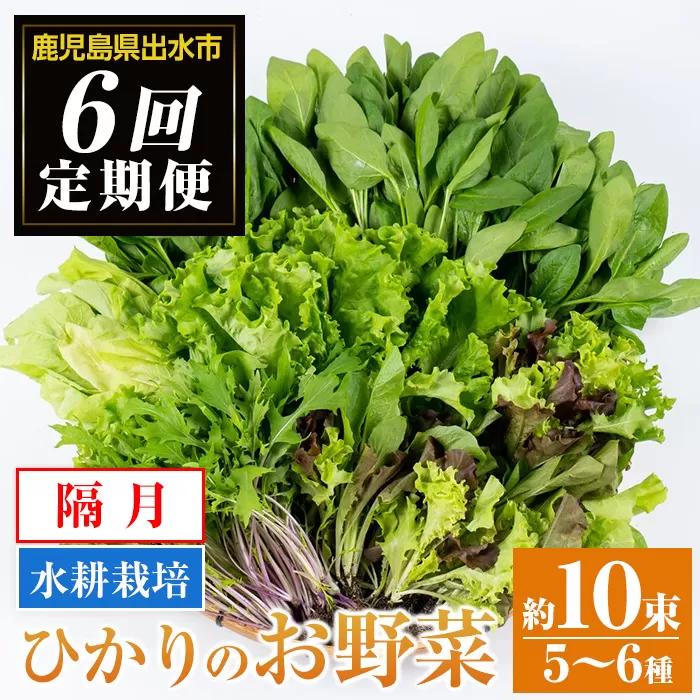 i678-A ＜定期便・計6回(隔月)＞ひかりのお野菜(約10束・5〜6種)【ひかりの郷】