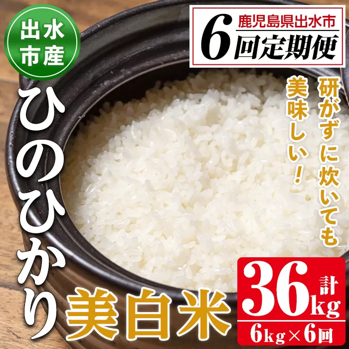 i543 ＜定期便・計6回(連続)＞鹿児島県出水市産ひのひかり美白米＜(3kg×2袋・計6kg)×全6回＞【田上商店】