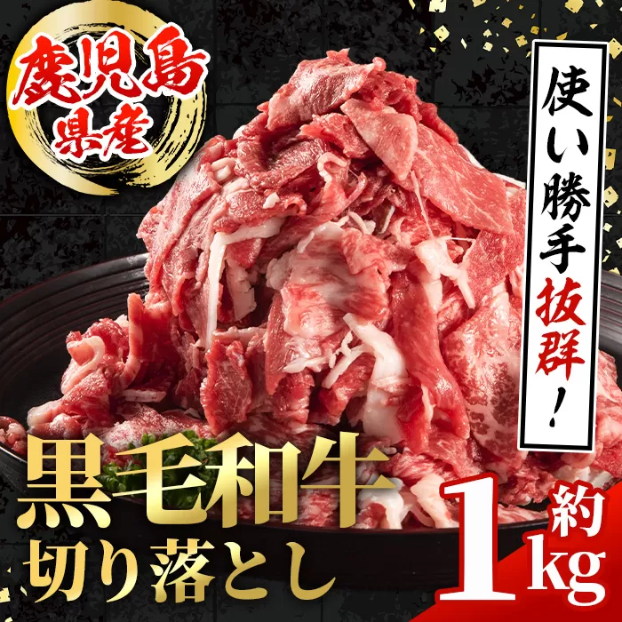 i1000 鹿児島県産 黒毛和牛 切り落とし (計約1kg・約500g×2パック) 国産 九州産 鹿児島産 黒毛和牛 牛肉 国産牛 切り落とし 切落し 小分け 冷凍配送 【スターゼン】