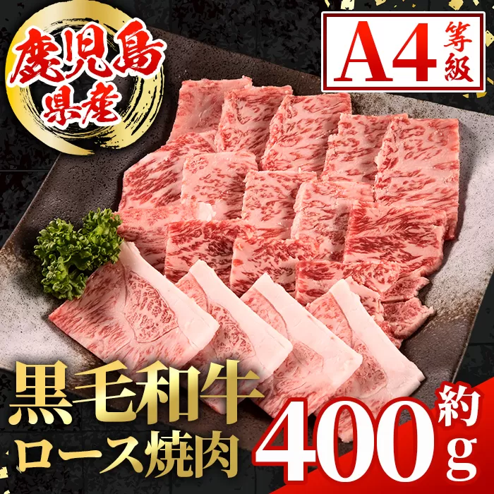 i1001 鹿児島県産 黒毛和牛 ロース焼肉用  (計約400g) 国産 九州産 鹿児島産 黒毛和牛 牛肉 国産牛 ロース 焼肉 焼き肉 BBQ ロース肉 冷凍配送 【スターゼン】