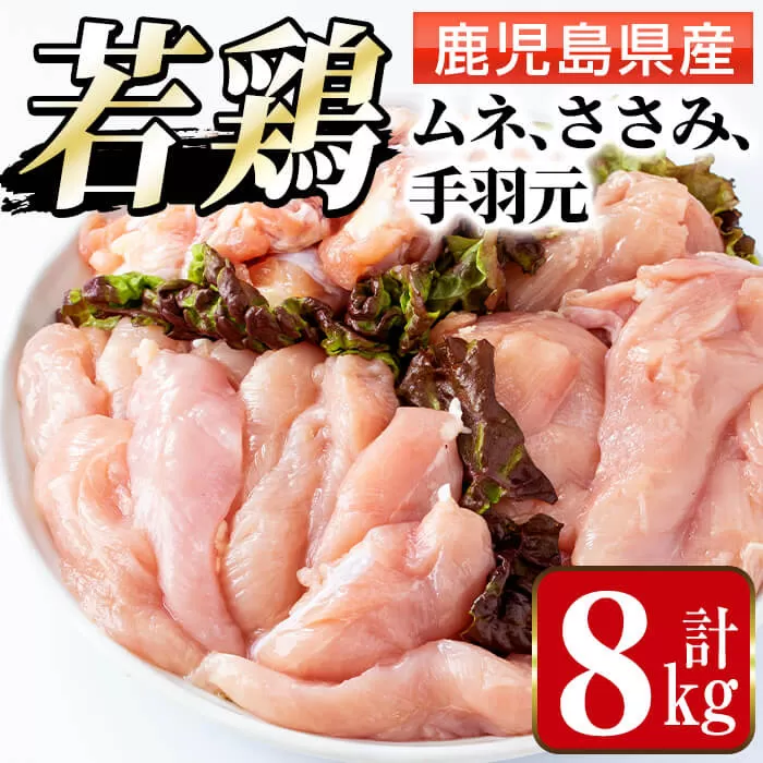 i449 若鶏ムネ肉・手羽元・ささみ(計8kg)【まつぼっくり】