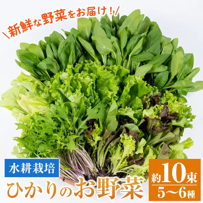i849 ひかりのお野菜(約10束・5〜6種)【ひかりの郷】
