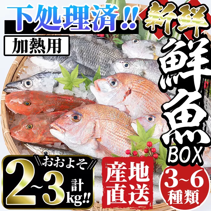 i861 ＜下処理済・加熱用＞おまかせ鮮魚BOX(約2〜3kg程度・3〜6種類) 【出水はやし】