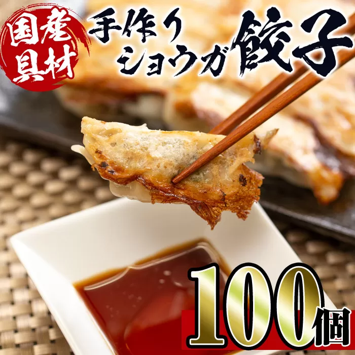 i393 国産豚肉使用！手作りショウガ餃子100個セット(10個×10パック たれ付き）【スーパーよしだ】