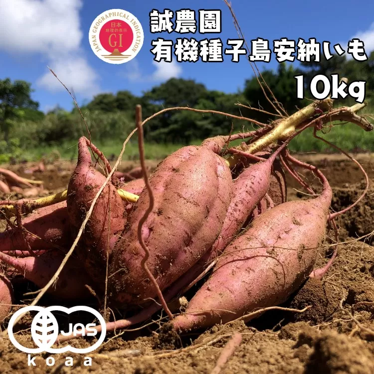 種子島 産 オーガニック (有機) 種子島 安納いも (誠農園) １０ｋｇ　NFN538 【650pt】