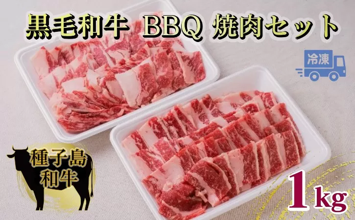 種子島 生まれ！ 黒毛 和牛 BBQ 焼肉セット 1kg　NFN547 【1425pt】