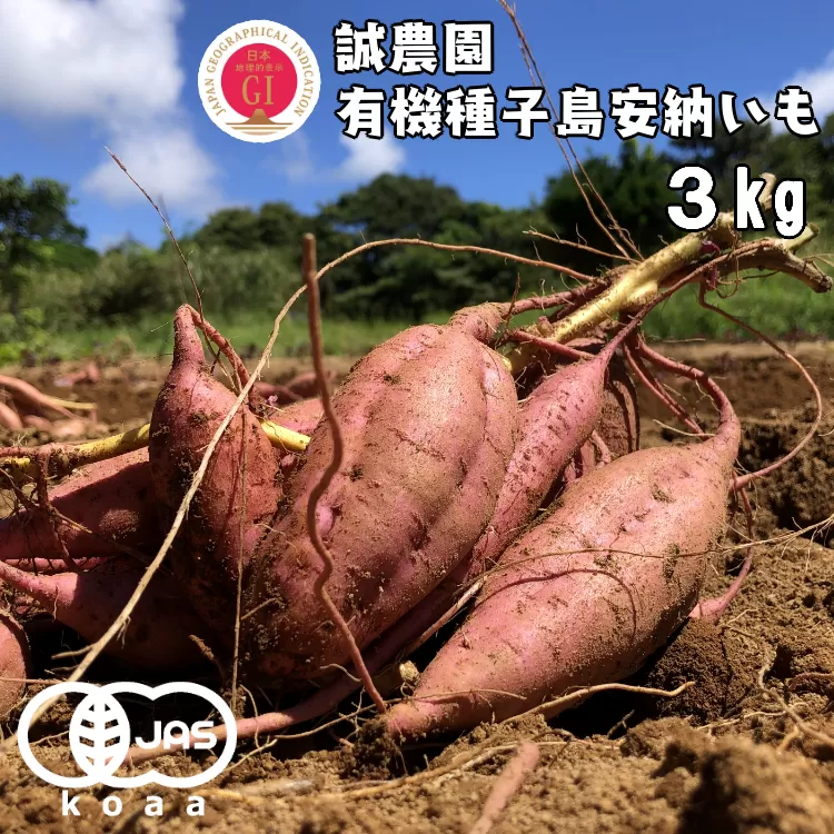 種子島 産 オーガニック (有機) 種子島安納いも (誠農園) ３kg　NFN599 【250pt】 有機栽培 有機JAS認証 皮まで丸ごと 安納いも 安納芋 熟成 糖度 オーガニック 安心安全