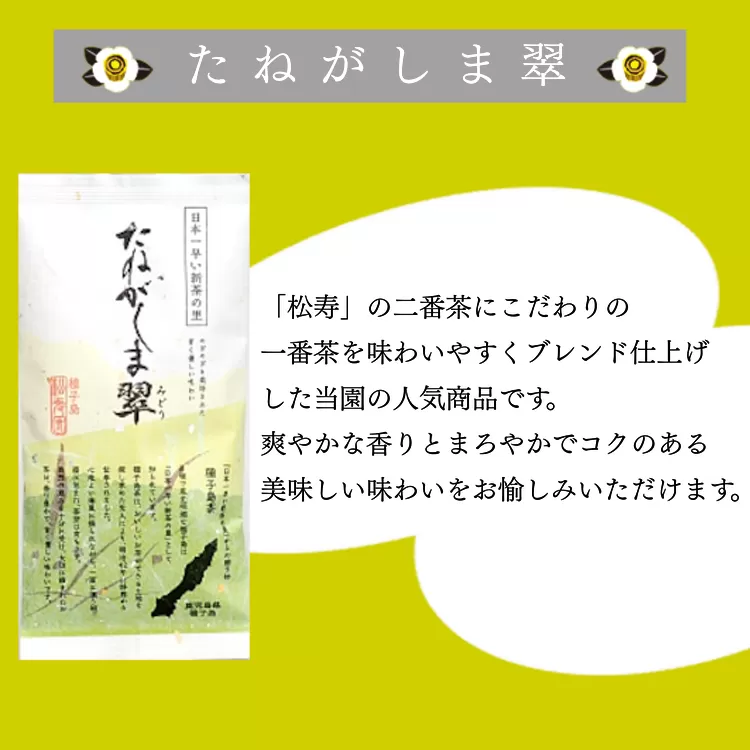 種子島 松寿園 たねがしま翠 100g ×3袋　NFN337【300pt】