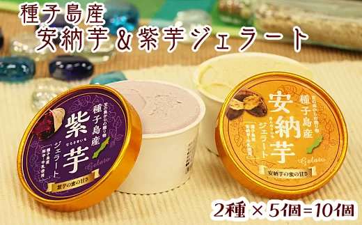 種子島 産 安納芋 紫芋 ジェラート 10個 セット　NFN146【400pt】