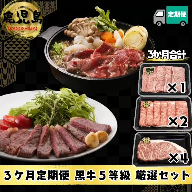 【 定期便 】鹿児島 黒牛 5等級 だけの 厳選 黒牛 セット 3ヶ月 ｺｰｽ　NFN167【3000pt】