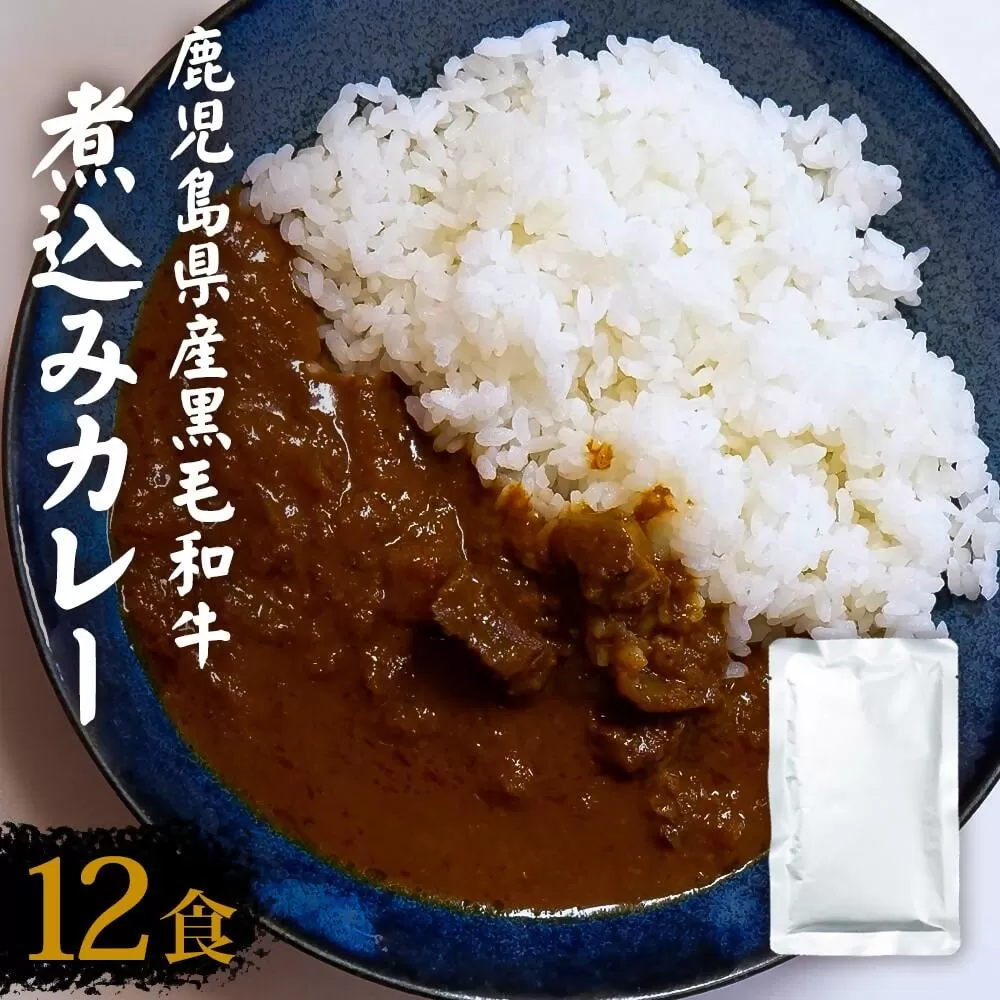 AS-925【訳あり】鹿児島県産黒毛和牛カレー 12袋