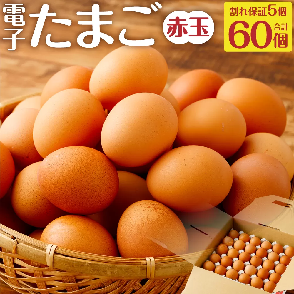 AS-070 電子卵(赤玉) 60個