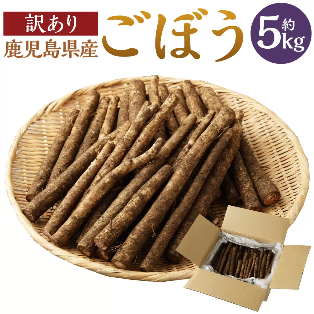 AS-075 鹿児島県産 土付き ごぼう 約5kg【規格外・訳あり品】【2025年1月上旬～3月下旬発送予定】