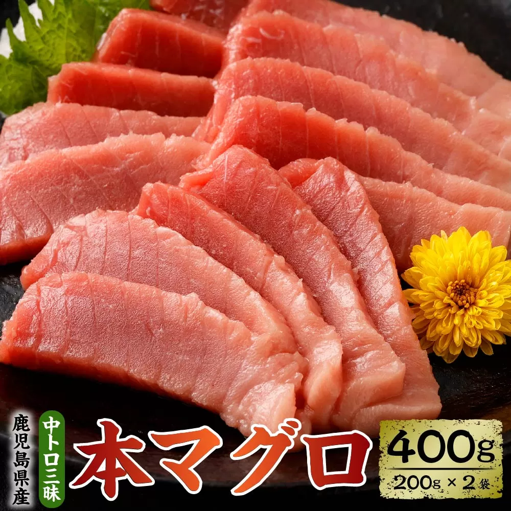 BS-904 鹿児島県産 本マグロ 中トロ三昧 合計400g(200g×2袋)