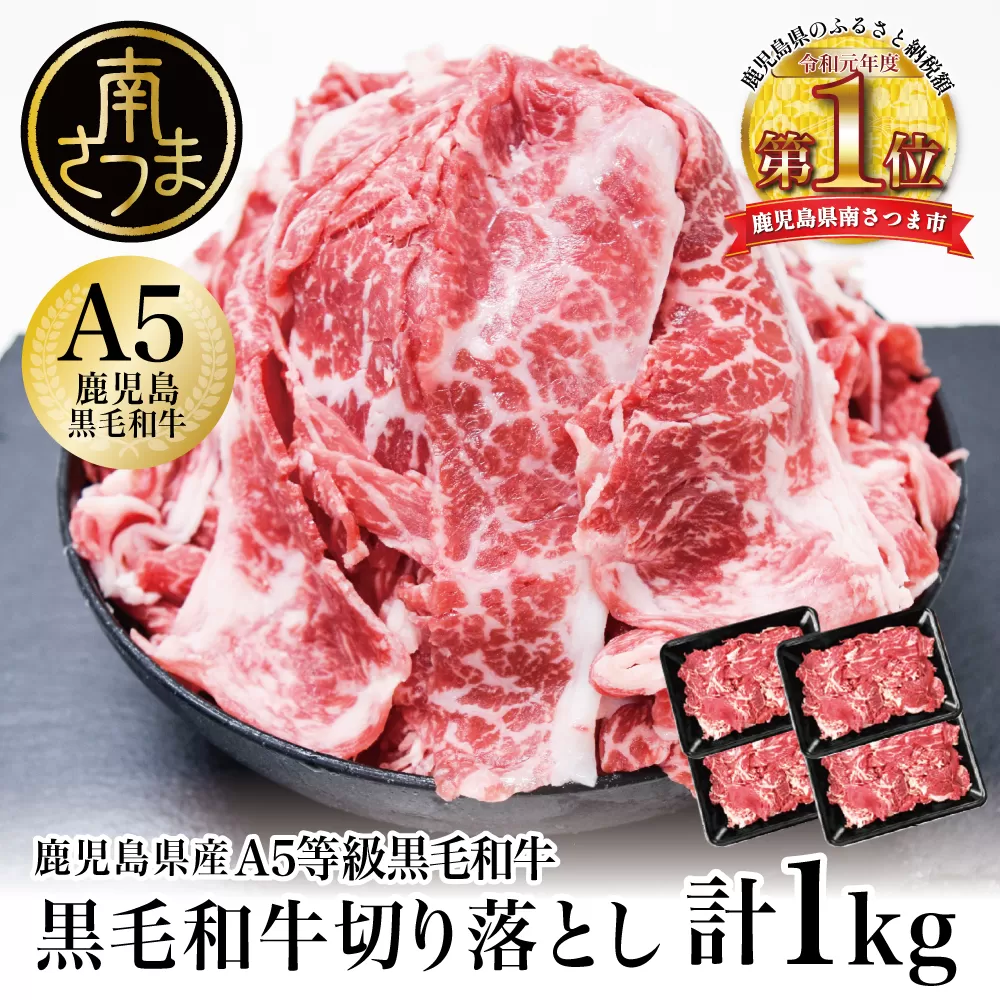 【鹿児島県産】A5等級黒毛和牛切落し 計1kg（250g×4P） 牛肉 おかず カレー お肉 小分け 冷凍 カミチク 南さつま市