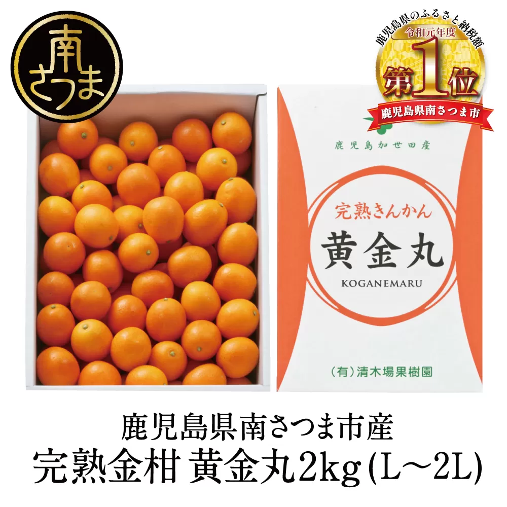 ◆2月〜3月末発送◆【鹿児島県南さつま市産】完熟金柑 黄金丸 約2kg（L〜2L) きんかん 柑橘 旬 フルーツ 果物 常温 南さつま市