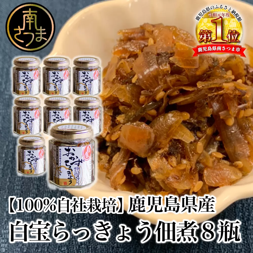 【鹿児島県産】白宝らっきょう佃煮 8個 佃煮 つくだ煮 セット 珍味 惣菜 らっきょう 鹿児島 エスランドル 南さつま市