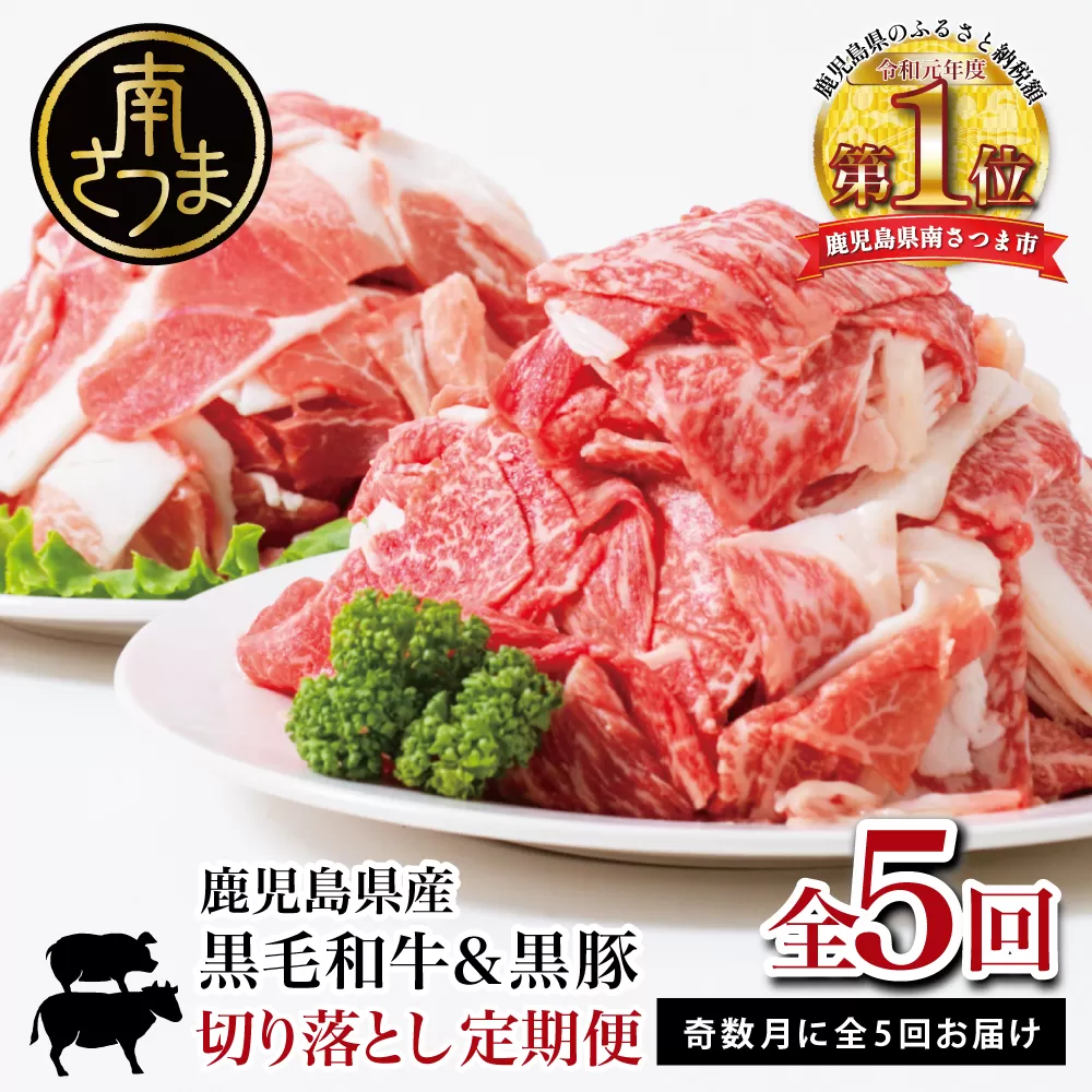 【モリモリ定期便】鹿児島県産 黒毛和牛＆黒豚 切落し 定期便 （全5回）牛丼 肉じゃが カレー 炒め物 定期便 冷凍 スターゼン 南さつま市