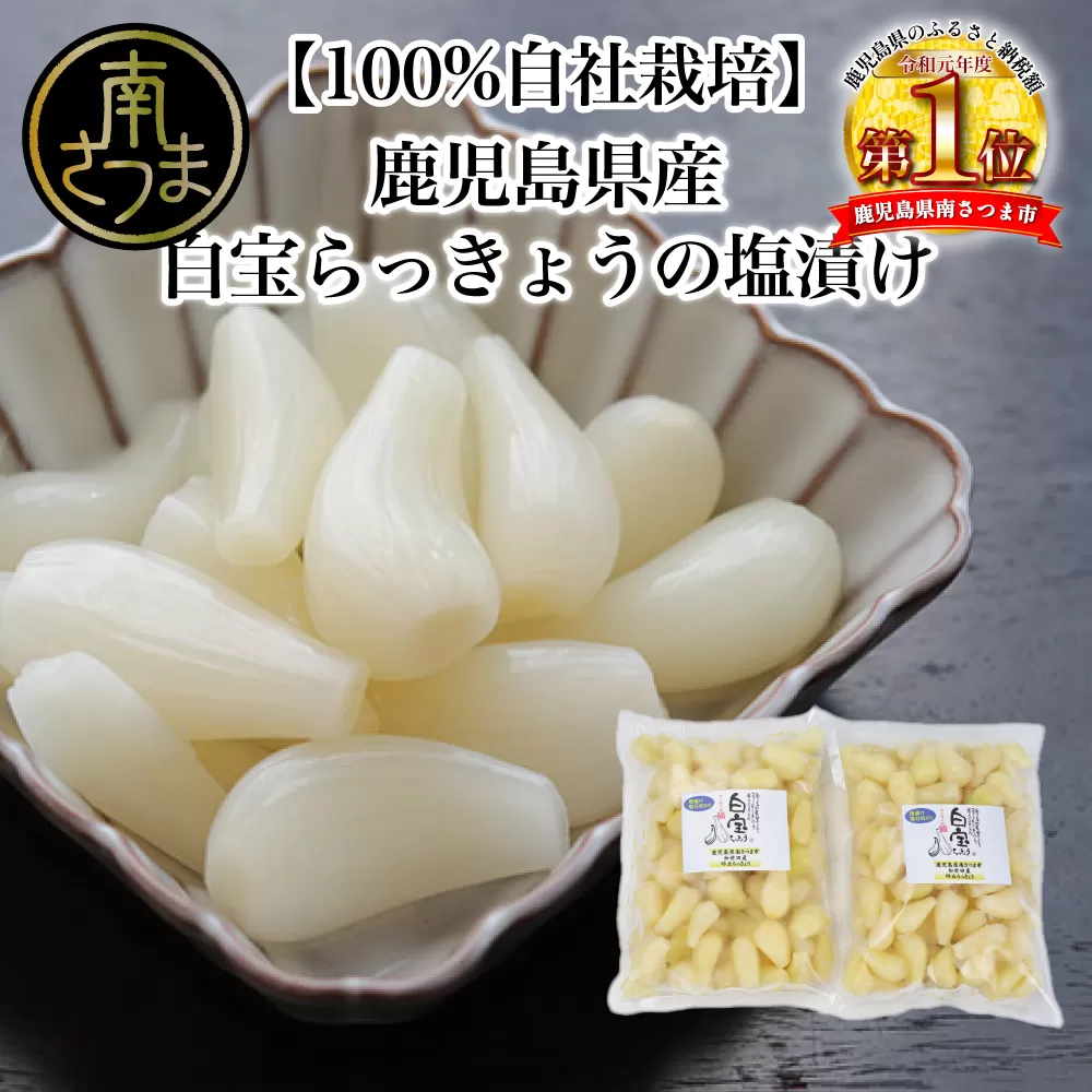 【鹿児島県産】白宝らっきょうの塩漬け 900g×2P 惣菜 らっきょう漬 らっきょう 漬物 塩漬け 鹿児島 エスランドル 南さつま市