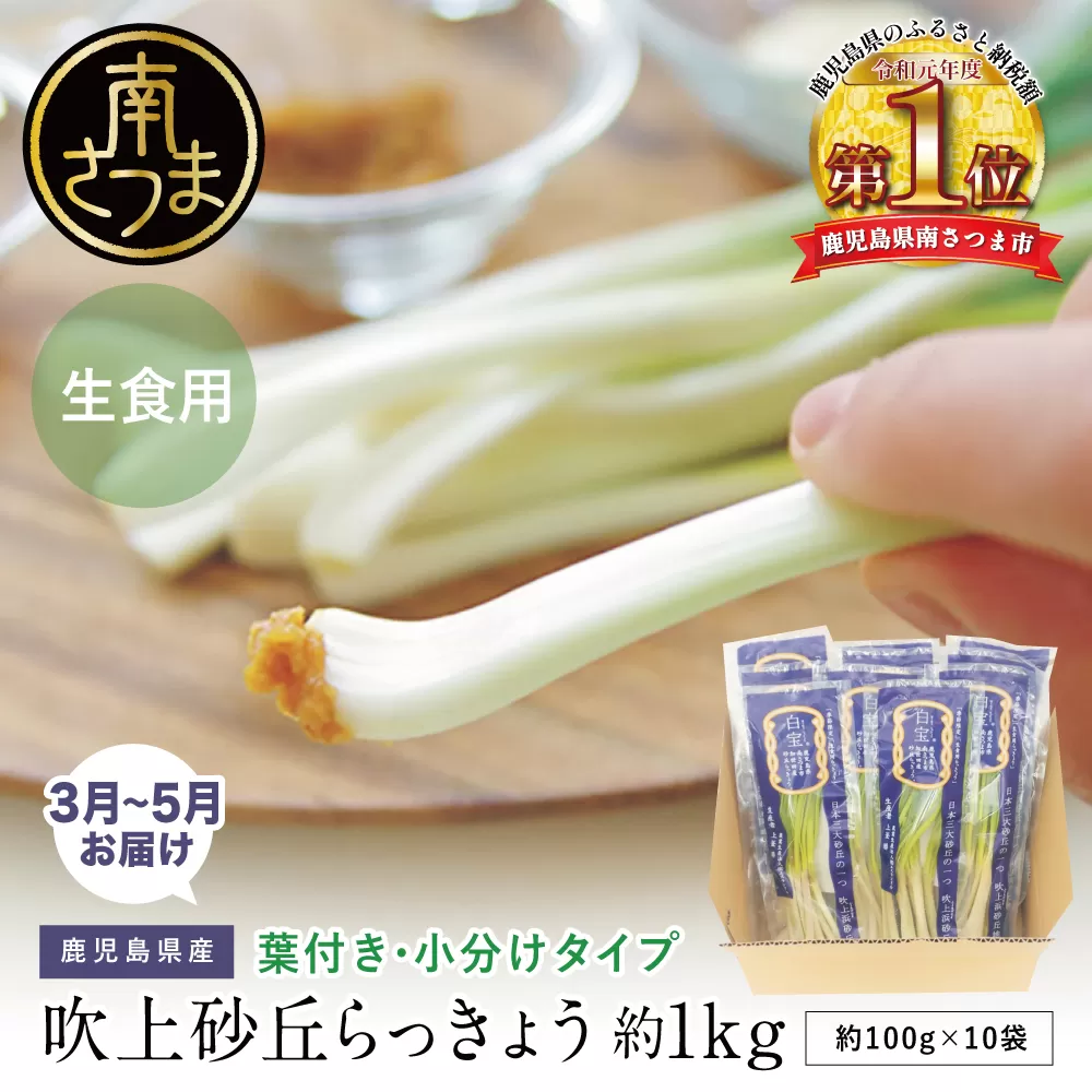 □【3～5月に発送】旬野菜！鹿児島県産 生食用 吹上砂丘らっきょう 約1kg（約100g×10袋） ラッキョウ 野菜 鹿児島県産 生食用 旬 エスランドル 南さつま市