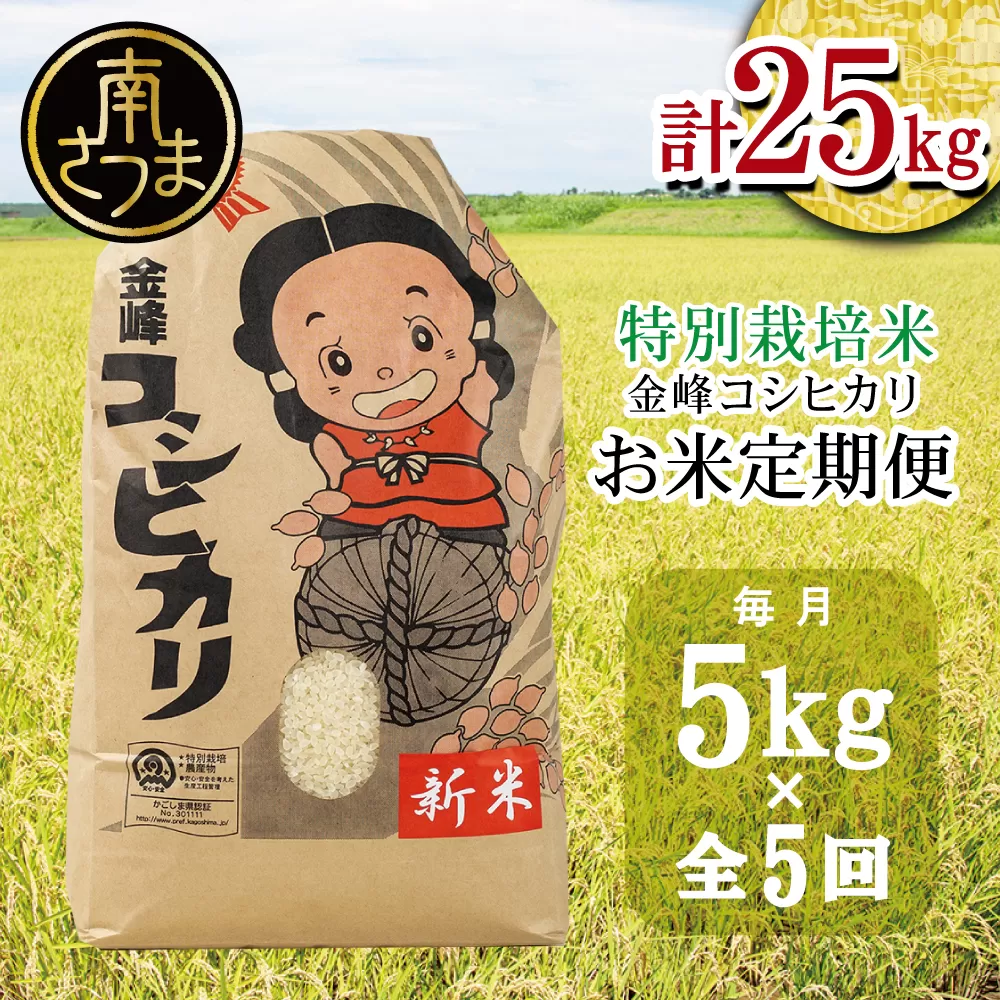 【定期便 全5回】＜令和6年産＞ 特別栽培米 金峰コシヒカリ 石蔵米 5kg×5ヶ月 お米定期便 特別栽培農産物 コメ おこめ 5キロ こしひかり 米 鹿児島県産 2024年産 南さつま市