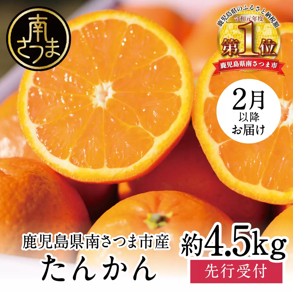 【2025年2月中旬発送開始】鹿児島県産 ブランドたんかん 約4.5kg かこしまブランド 果物 フルーツ 柑橘 常温 JA 南さつま市