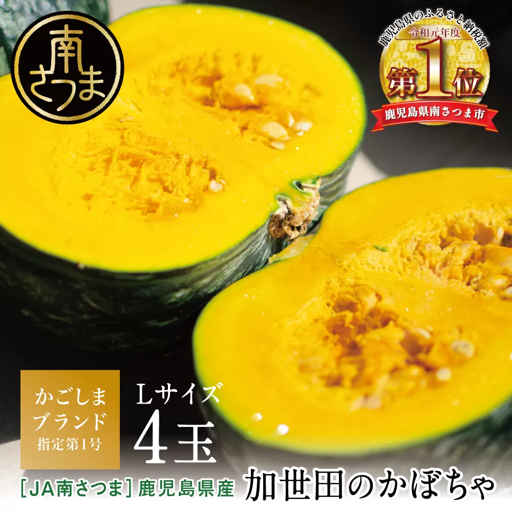 ◆5月出荷開始◆【かごしまブランド】加世田のかぼちゃ 4個 ［春出荷］ 野菜 カボチャ 常温 鹿児島県産 JA 南さつま市