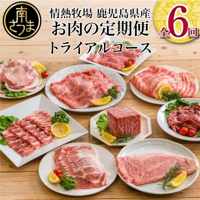 【定期便 全6回】情熱牧場 鹿児島県産お肉の定期便 トライアルコース お肉 ステーキ すき焼き しゃぶしゃぶ A5等級 黒毛和牛 牛肉 豚肉 焼肉 定期便 冷凍 カミチク 南さつま市