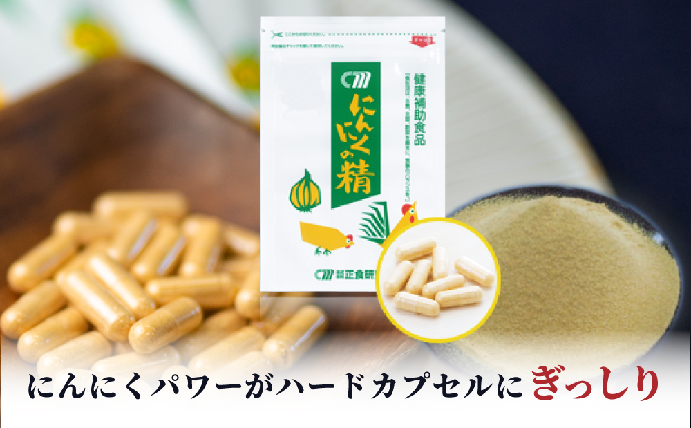 健康補助食品】 にんにくの精（31粒入り×2袋） にんにく 卵黄 健康