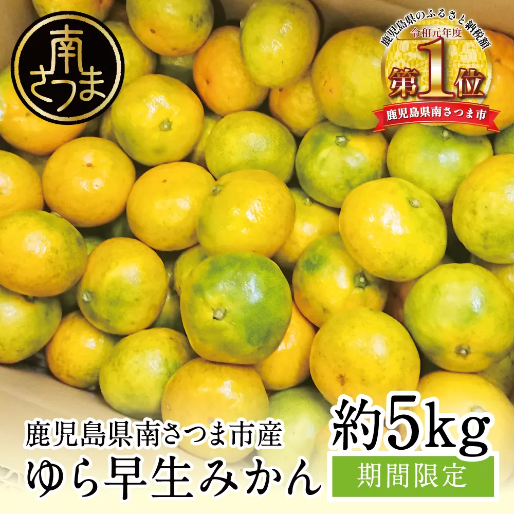 【鹿児島県産】期間限定！ ゆら早生みかん 約5kg 柑橘 くだもの フルーツ 果実 ミカン 蜜柑 温州みかん 極早生 わせみかん 鹿児島県南さつま市産 JA南さつま