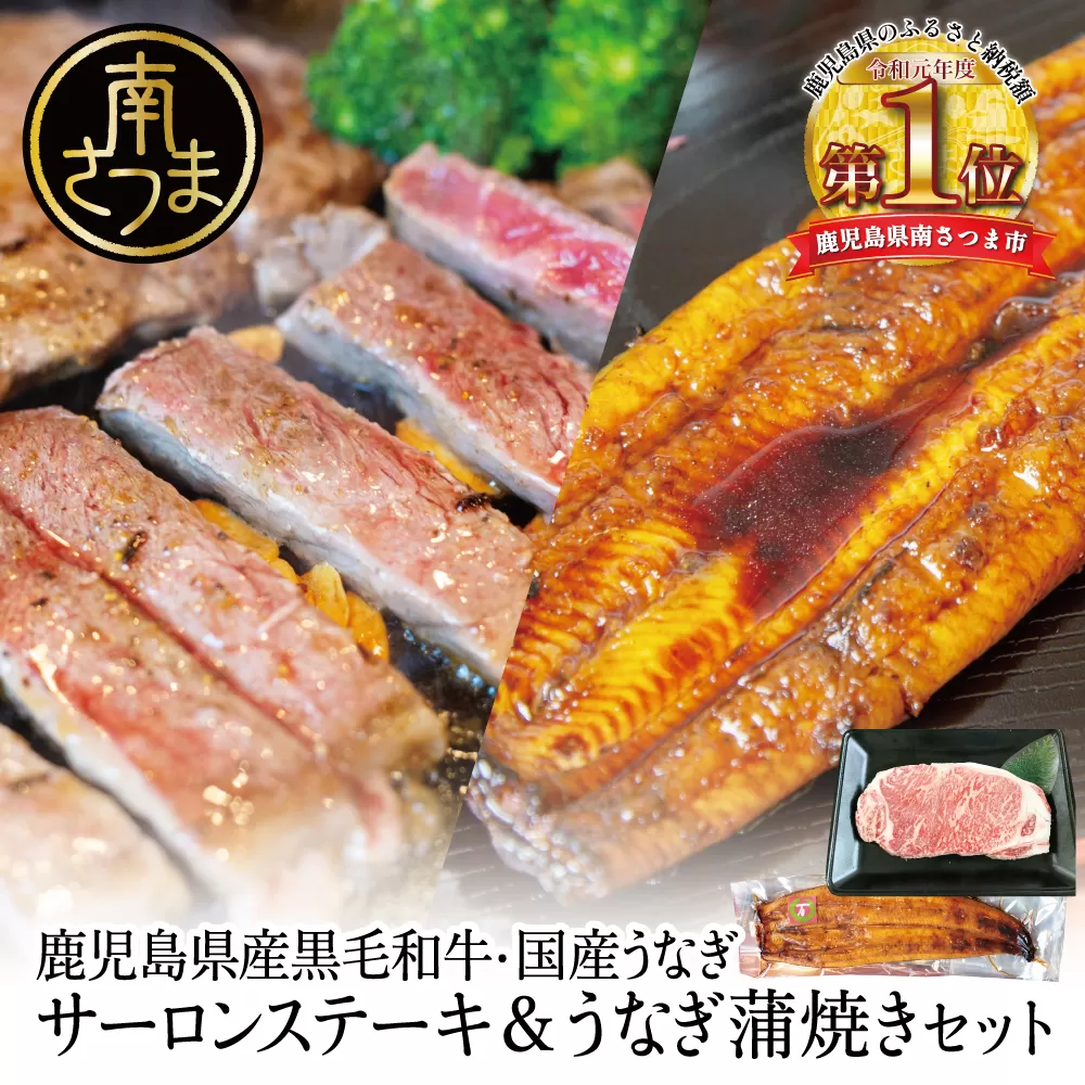 鹿児島県産黒毛和牛サーロインステーキ＆国産うなぎ蒲焼き スタミナセット（同梱発送） 鹿児島県産 黒毛和牛 牛肉 サーロイン 鰻 ギフト 贈答 冷凍 スターゼン ギフト 贈答 南さつま市