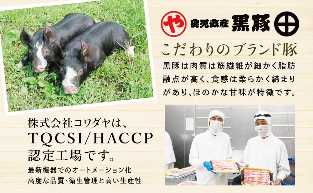 鹿児島県産 味付け 黒豚 セット 3種類 計1kg（ネギ塩、生姜焼き